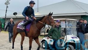 Highfield Princess limbering up Breeders&rsquo; Cup challenge