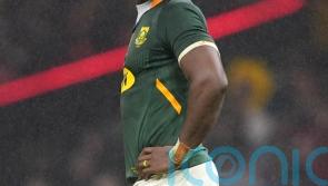 Siya Kolisi convinced Ireland even stronger than side who thrashed South Africa