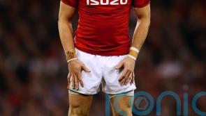 Gareth Anscombe: Wales can take South Africa belief into New Zealand game