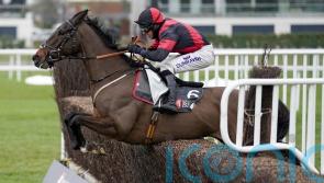 Fergal O&rsquo;Brien considering his options for Paint The Dream