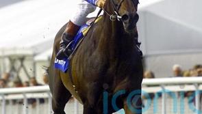 Top stayer and jumps sire Kayf Tara dies aged 28