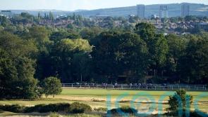 Newcastle abandoned to join National Hunt meetings lost