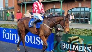 In Excess forces his way into Festival frame