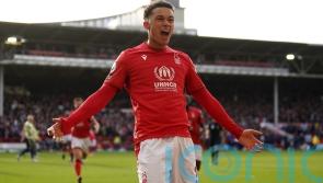 Brennan Johnson is showing he belongs in the Premier League &ndash; Steve Cooper