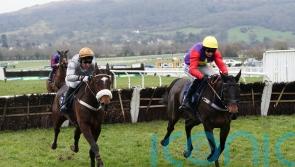 Gold Tweet leading two-pronged French raid on Stayers&rsquo; Hurdle