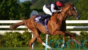O&rsquo;Brien shuffling long-distance pack in wake of Kyprios setback