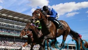 Burrows sights set on Group One gold for Anmaat