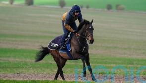 Post-Aintree school to determine Constitution&rsquo;s chasing plans