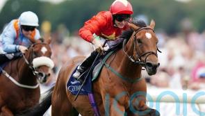 Quinn eyeing York starting point for Highfield Princess