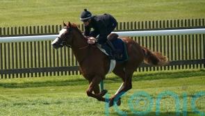 Dubai Mile edging towards Guineas after Newmarket workout