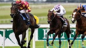 Al Riffa ruled out of Irish 2,000 Guineas by Joseph O&rsquo;Brien