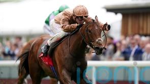 Nunthorpe bid on the radar for Nymphadora