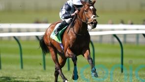 Passenger plans awaited after return to winning ways