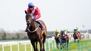 Ryanair repeat on the agenda for soon-to-return Allaho