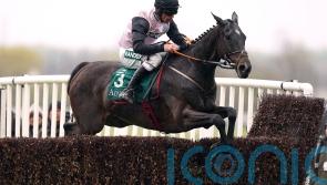 Gerri Colombe still on course for King George