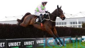 Limerick assignment looks &lsquo;ideal&rsquo; for Gaelic Warrior