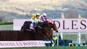 Cheltenham 2024 Gold Cup: Irish contenders confirmed for racing festival