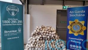 Drugs worth 32.8m euros seized at Cork Port