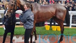 &lsquo;Horse of a lifetime&rsquo; Corach Rambler does Russell proud in defeat