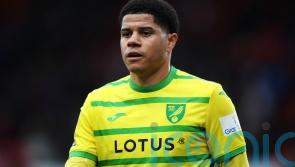 Gabriel Sara nets late winner at Preston to boost Norwich&rsquo;s play-off hopes