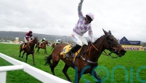 Golden Ace steps up for Cheltenham Listed assignment