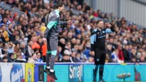 Danny Rohl likes what he sees as Wednesday climb out of drop zone with away win