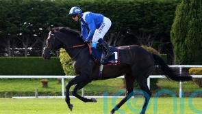 Burrows pencils in early summer return for Alflaila