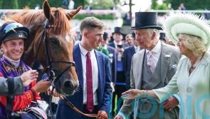 Desert Hero warming up for Royal return with Newbury outing