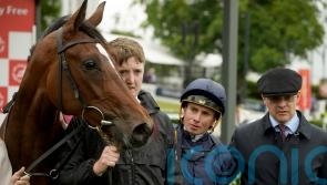 Ylang Ylang expected to go the distance in Oaks