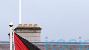 Palestinian flag taken down from Leinster House