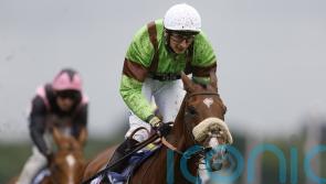 &lsquo;Very game&rsquo; Tolstoy records notable Knavesmire double