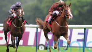 Top Notch Tonto thriving in new career