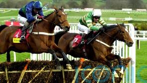 &lsquo;Horse of a lifetime&rsquo; Istabraq dies aged 32