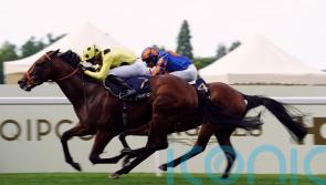 2024 return not ruled out for Rosallion following Goodwood absence