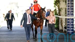 Bradsell on track for Nunthorpe and other top sprint targets