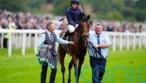 Oxx believes Troy can capitalise on wide-open Breeders’ Cup