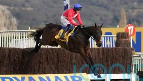 Dual Ryanair Chase hero Allaho heads for retirement