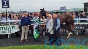 Zaynab one to note following winning start at Listowel
