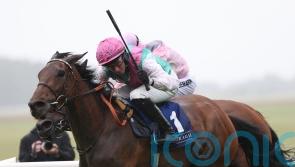 Bluestocking on course to be supplemented for Arc bid