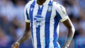 Anthony Musaba earns Sheffield Wednesday late victory over in-form West Brom