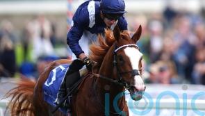 Economics and Charyn headline Champions Day fields