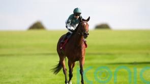 Nashwa team considering targets after Newmarket return