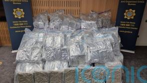 Four men arrested after cannabis worth 8.5m euro found at business premises