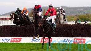 &lsquo;It&rsquo;s magic&rsquo; &ndash; McCain-Mitchell lives up to family history