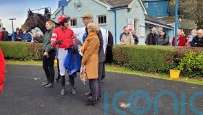 Pink In The Park upstages stablemate Allegorie De Vassy at Clonmel