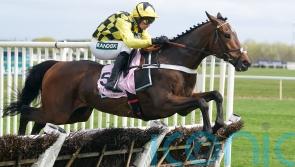 Sir Gino will now be sent novice chasing this season