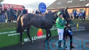 &lsquo;Mustard&rsquo; Impaire Et Passe delights on Fairyhouse fencing bow