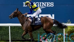 King George boosted by record prize fund and &lsquo;run for free&rsquo; initiative