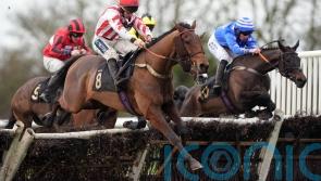 Super Survivor continues resurgence with Huntingdon success