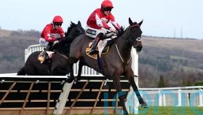 Gowel Road not winning out of turn in Cleeve Hurdle
